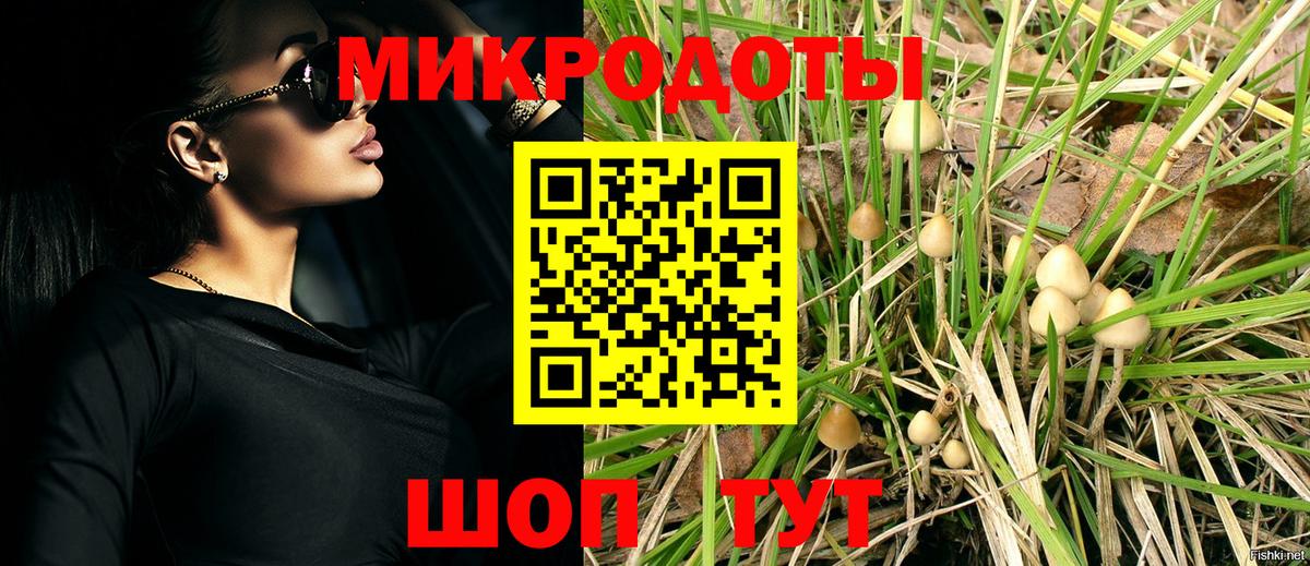 Галлюциногенные грибы Psilocybine cubensis  Вход с VPN  магазин  наркотиков  Асбест  Псилоцибиновые грибы Psilocybe 